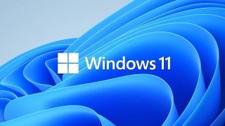 Windows 11 Steam kullanıcıları arasında pek popüler olamamış