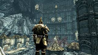 Skyrim'e ek paket gibi mod geldi