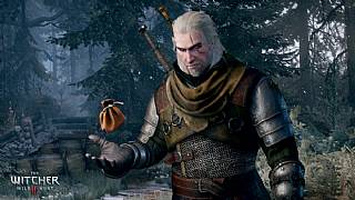 The Witcher 3'te tam 30 farklı son bulunacak!