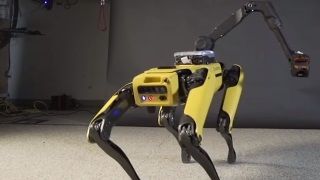 Boston Dynamics'in Robot Köpeği artık dans edebiliyor